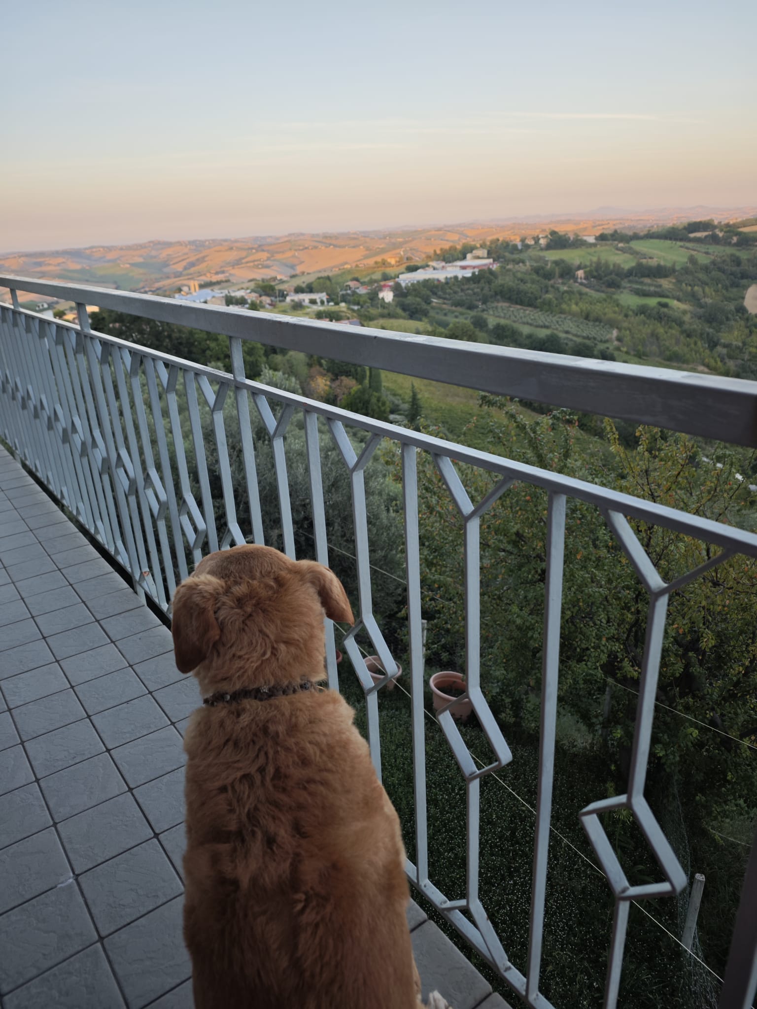 Monteurzimmer: Balkon und Aussicht, Hunde gegen Voranmeldung erlaubt - CASA DORIS, Montecarotto, Le Marche - Apt. 1 EG