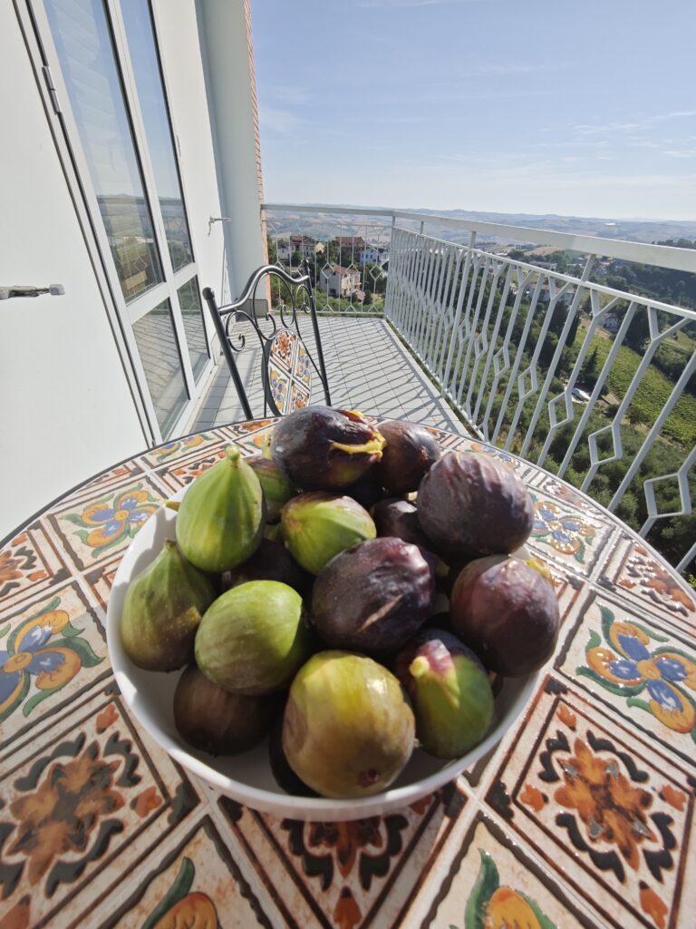 Monteurzimmer: Balkon - CASA DORIS, Montecarotto, Le Marche - Apt. 1 EG