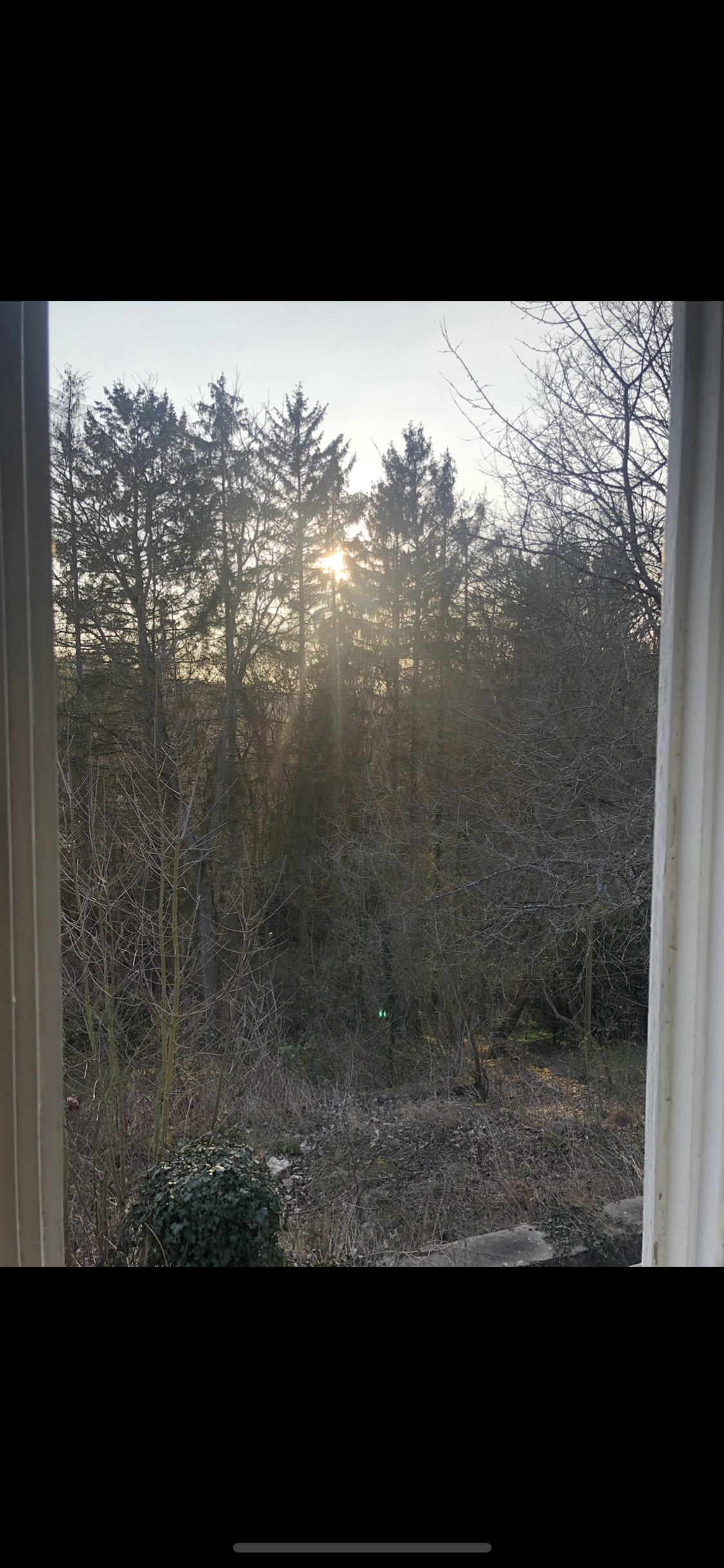 Monteurzimmer: Waldhaus Steinbachtal 