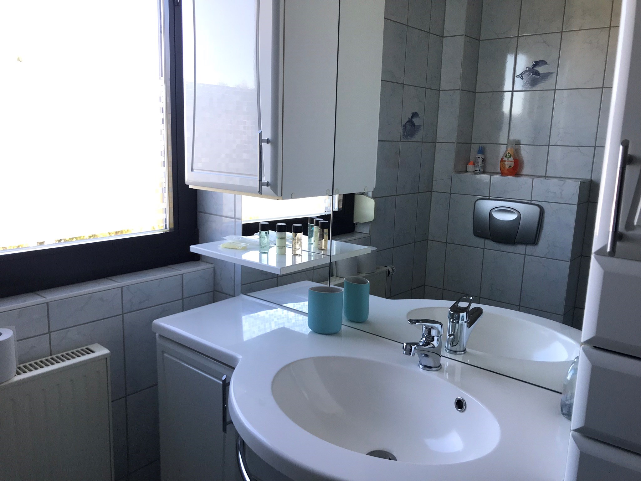 Monteurwohnung - Zimmertyp: Mehrbettzimmer - Hessen - Bad oben - Ferienhaus Tim