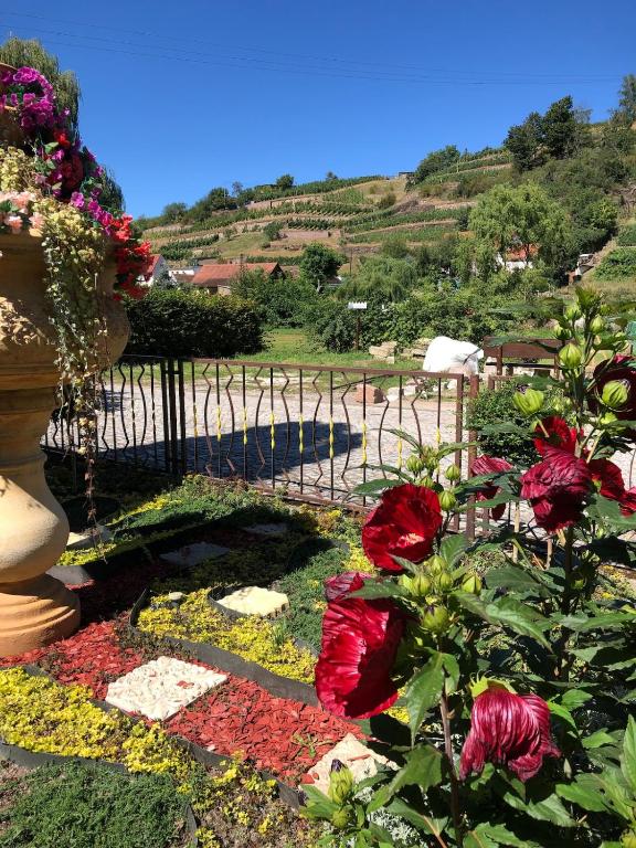 Monteurzimmer: Blick auf die Weinberge - Waldpool