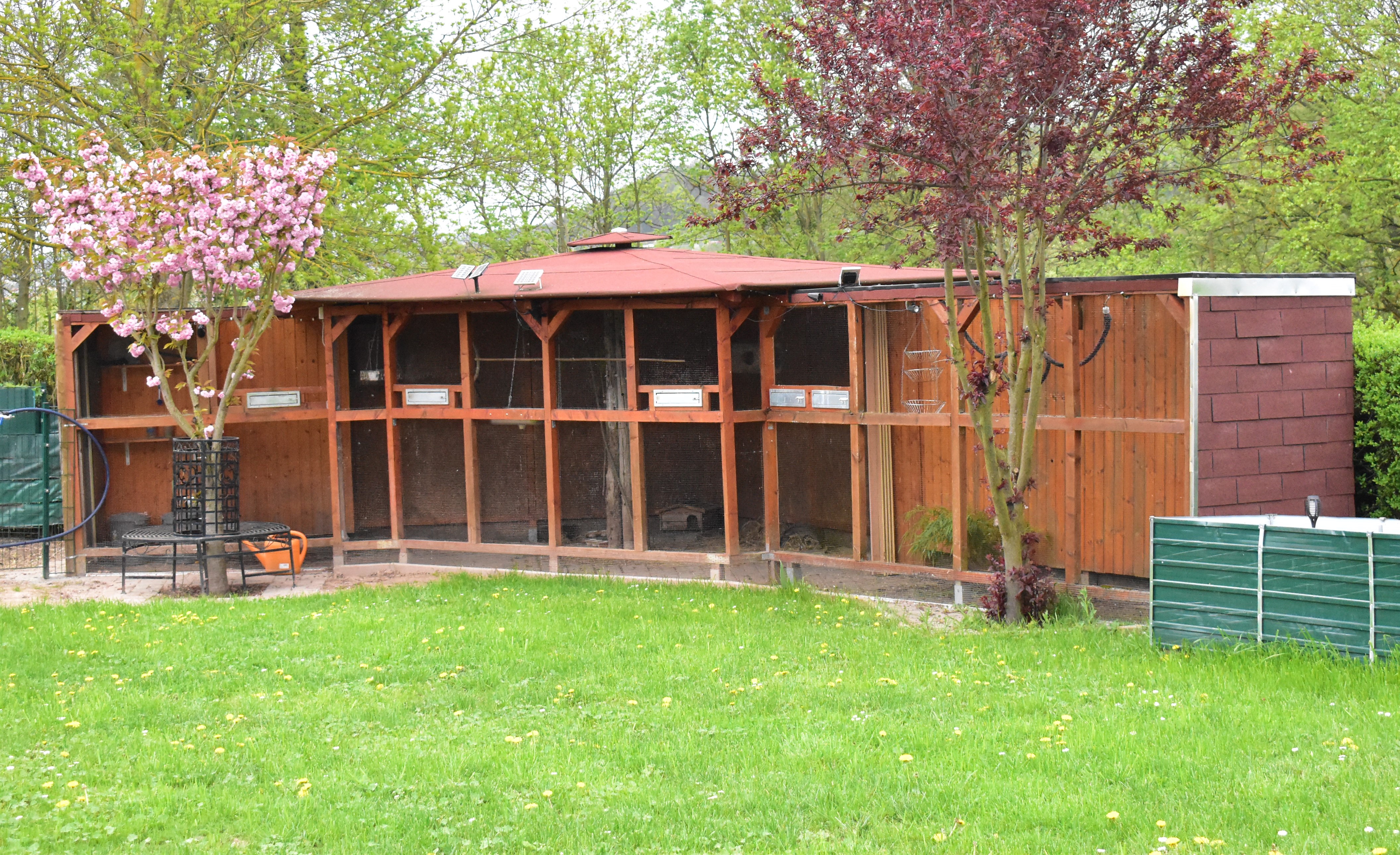 Monteurwohnung - Zimmertyp: Doppelzimmer - Thüringen - Voliere für Sittiche und Zwergwachteln - Leischnerhof