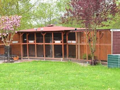 Monteurwohnung - TV - Deutschland - Voliere für Sittiche und Zwergwachteln - Leischnerhof