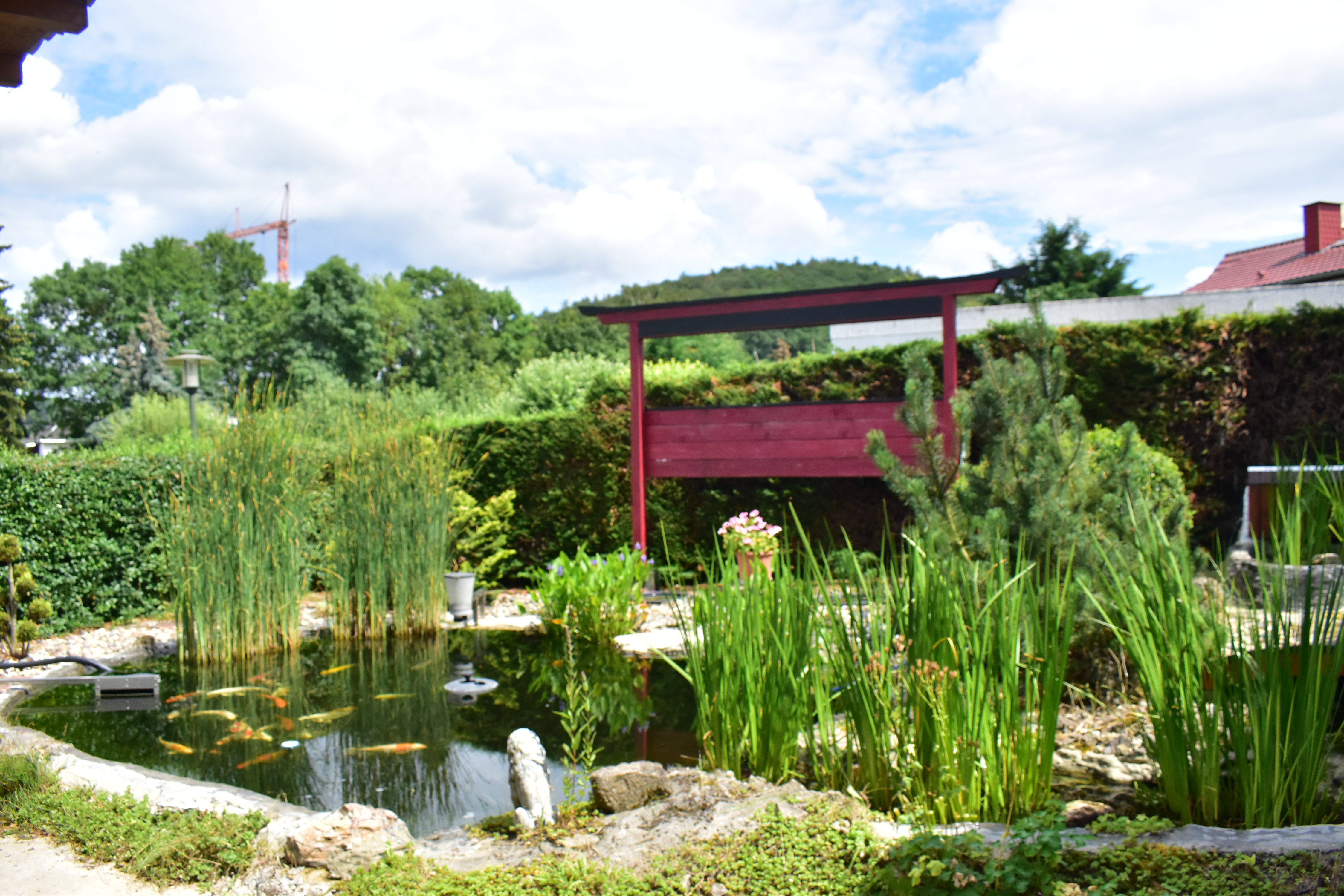 Monteurzimmer: Teichanlage - Leischnerhof