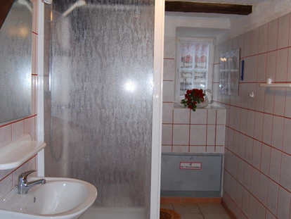 Monteurwohnung - TV - Deutschland - Bad  - Leischnerhof