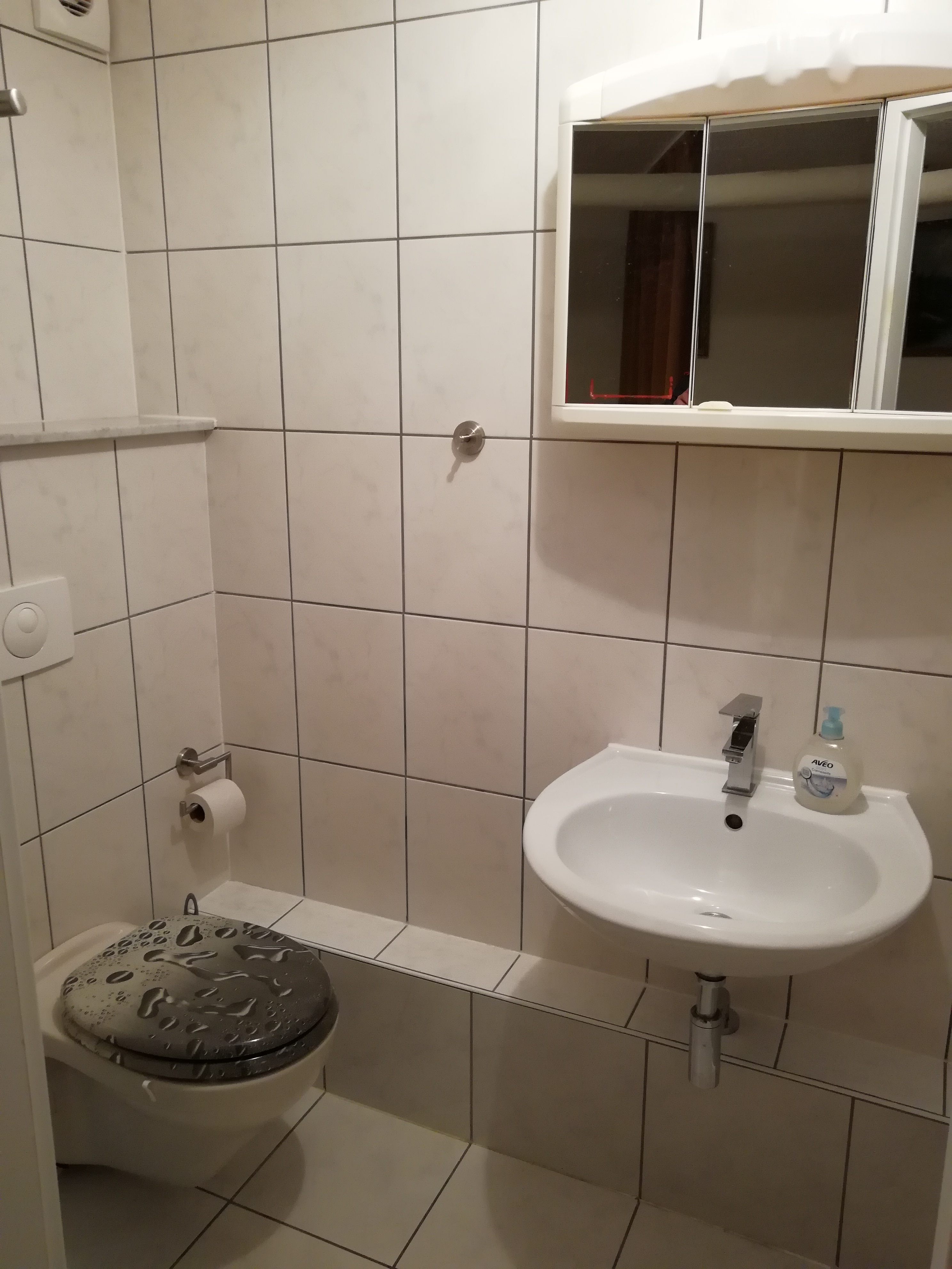 Monteurzimmer: Monteurzimmer Weil am Rhein an der Schweizer Grenze zu Basel