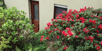 Monteurwohnung - PLZ 69469 (Deutschland) - Ferienwohnung Schmitt Abtsteinach