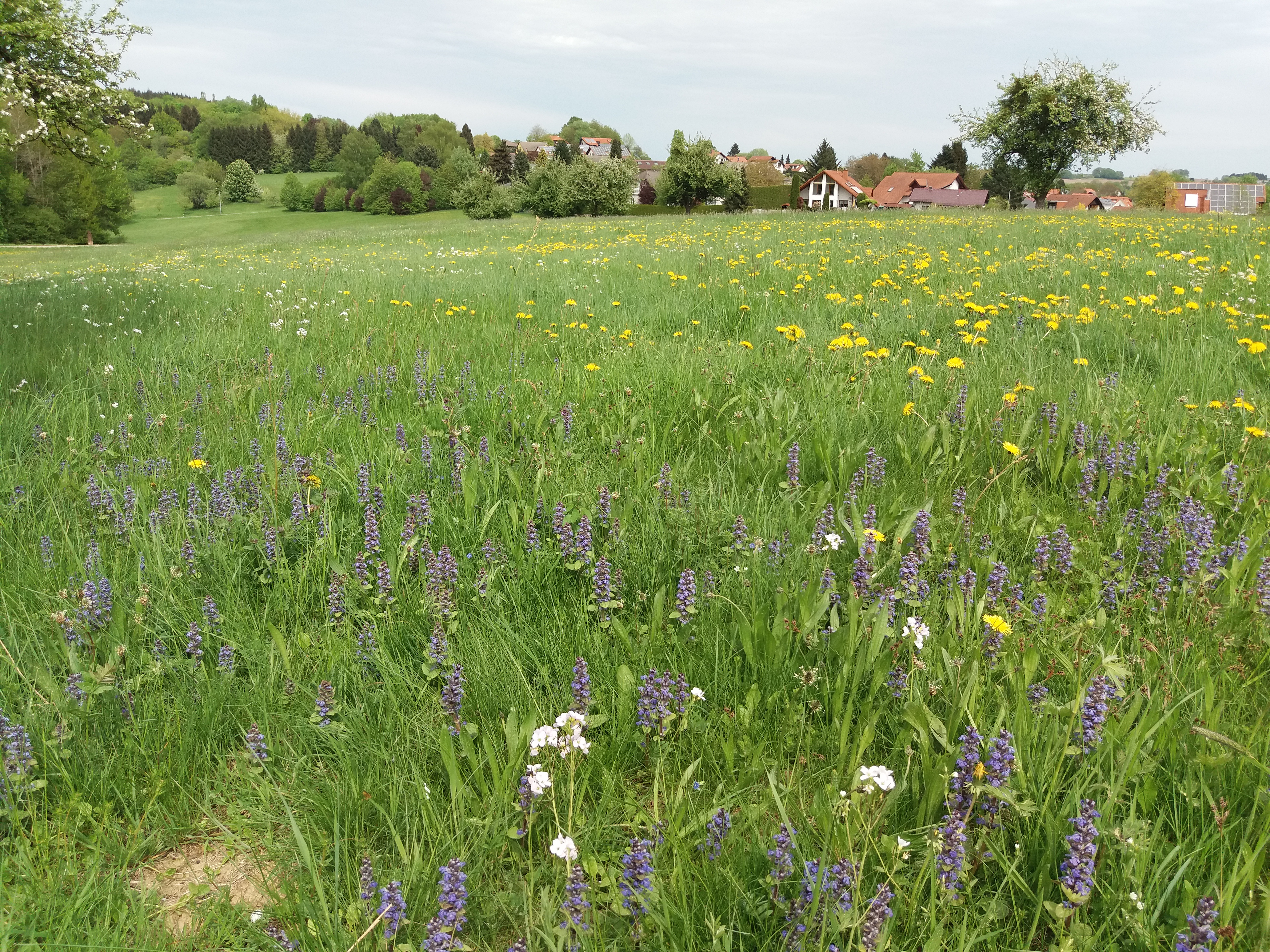 Monteurzimmer: Ferienwohnung Schmitt Abtsteinach