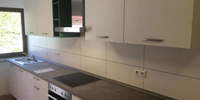 Monteurwohnung - Krautheim (Hohenlohekreis) - Küche - Monteurzimmer Künzelsau Mäusdorf