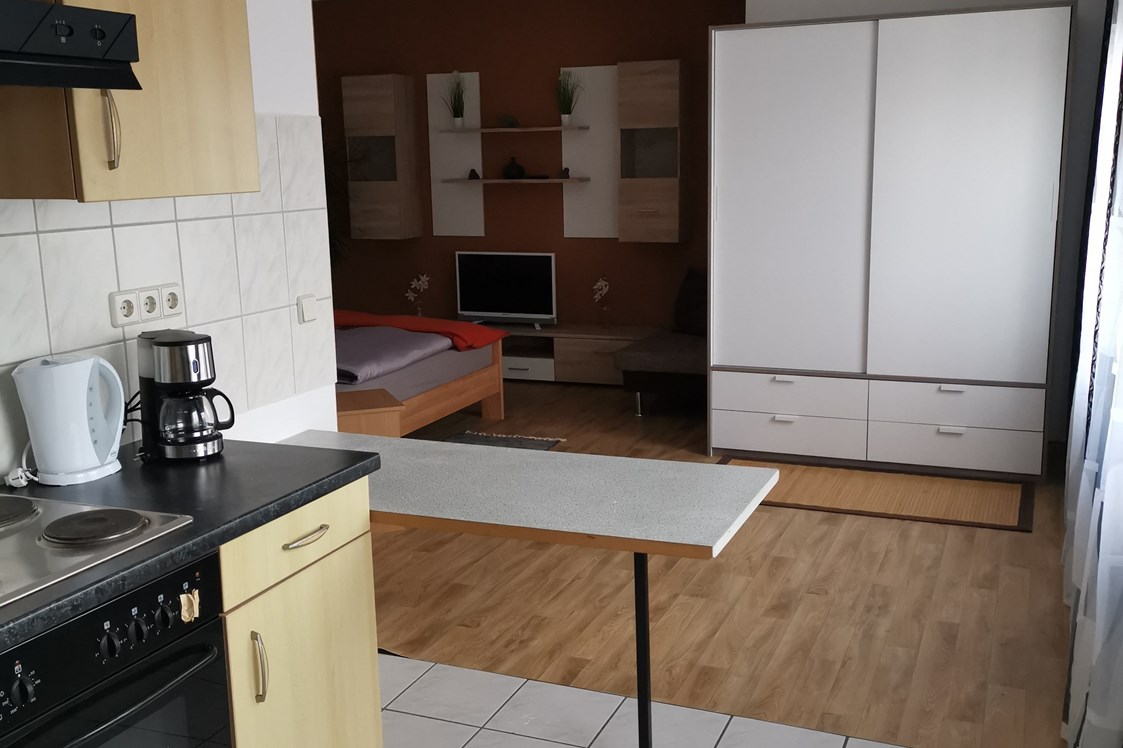 Monteurzimmer: Komplett ausgestattete Küche - Grimma 