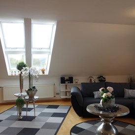 Monteurzimmer: Große Dachfenster im Wohnbereich - Großes Appartement in Niedersachsen Nähe Göttingen, für bis 5 Personen geeignet