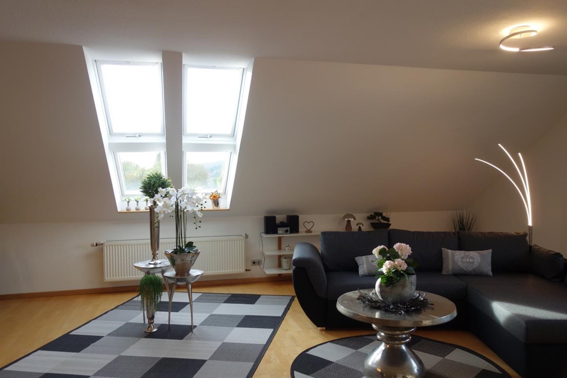 Monteurzimmer: Große Dachfenster im Wohnbereich - Großes Appartement in Niedersachsen Nähe Göttingen, für bis 5 Personen geeignet
