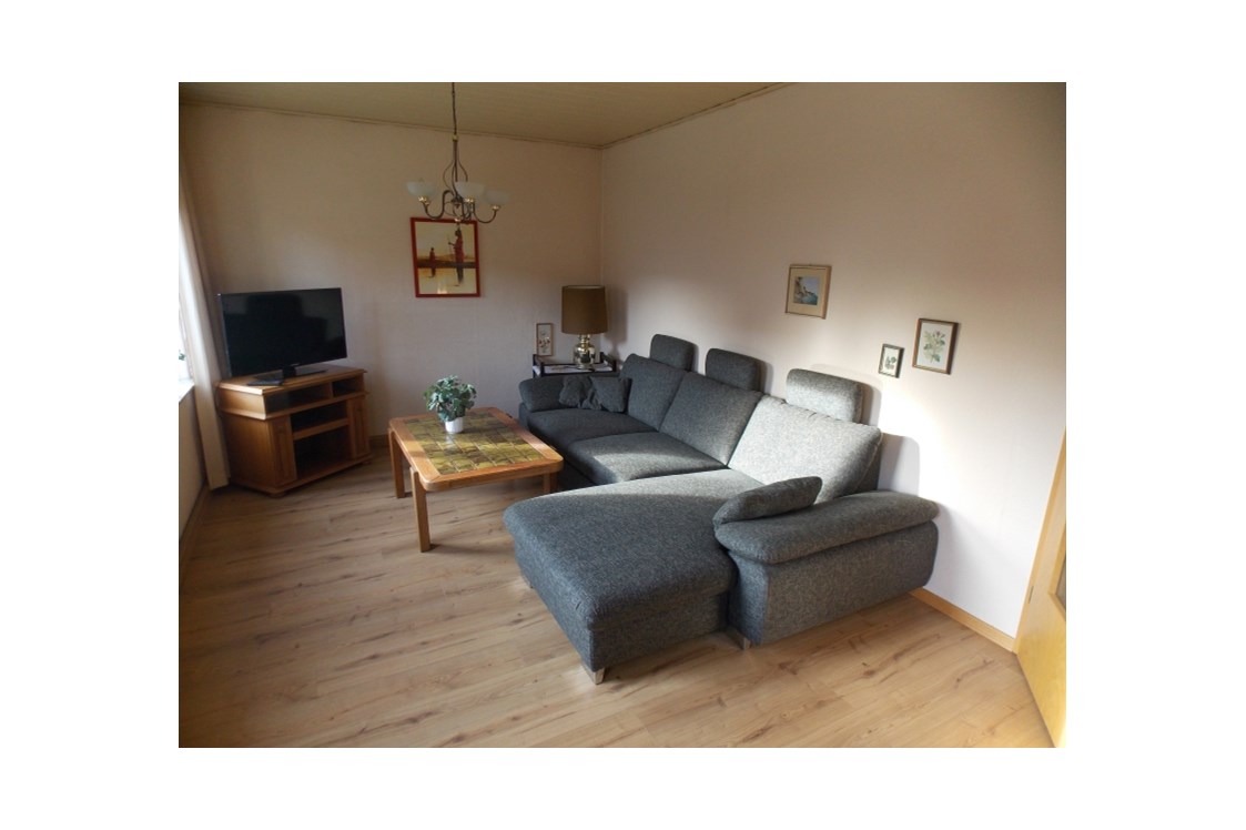 Monteurzimmer: Wohnzimmer mit Ausziehcouch als Notbett und Fernseher - Monteurzimmer-Hehlen