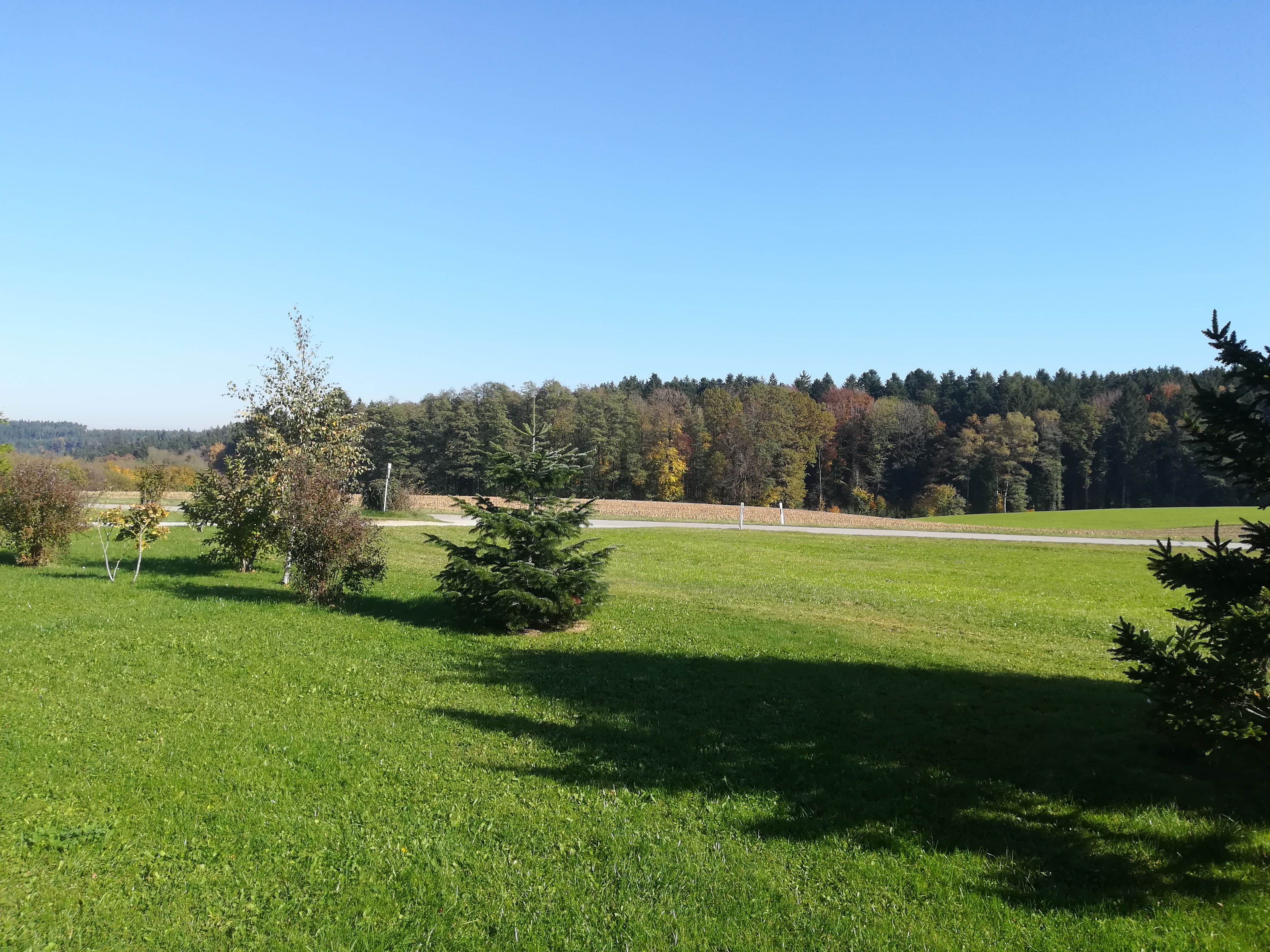 Monteurwohnung - TV - Bayern - Ostseite - Landhaus Schuster
