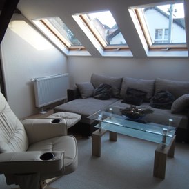 Monteurzimmer: Gemütliche Couch in der Arbeiterwohnung in Runkel an der Lahn. - Dach-Studio Runkel