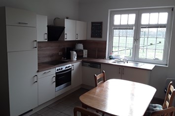 Monteurzimmer: Küche mit Kühlschrank  + Gefrierfach  - Waldblick