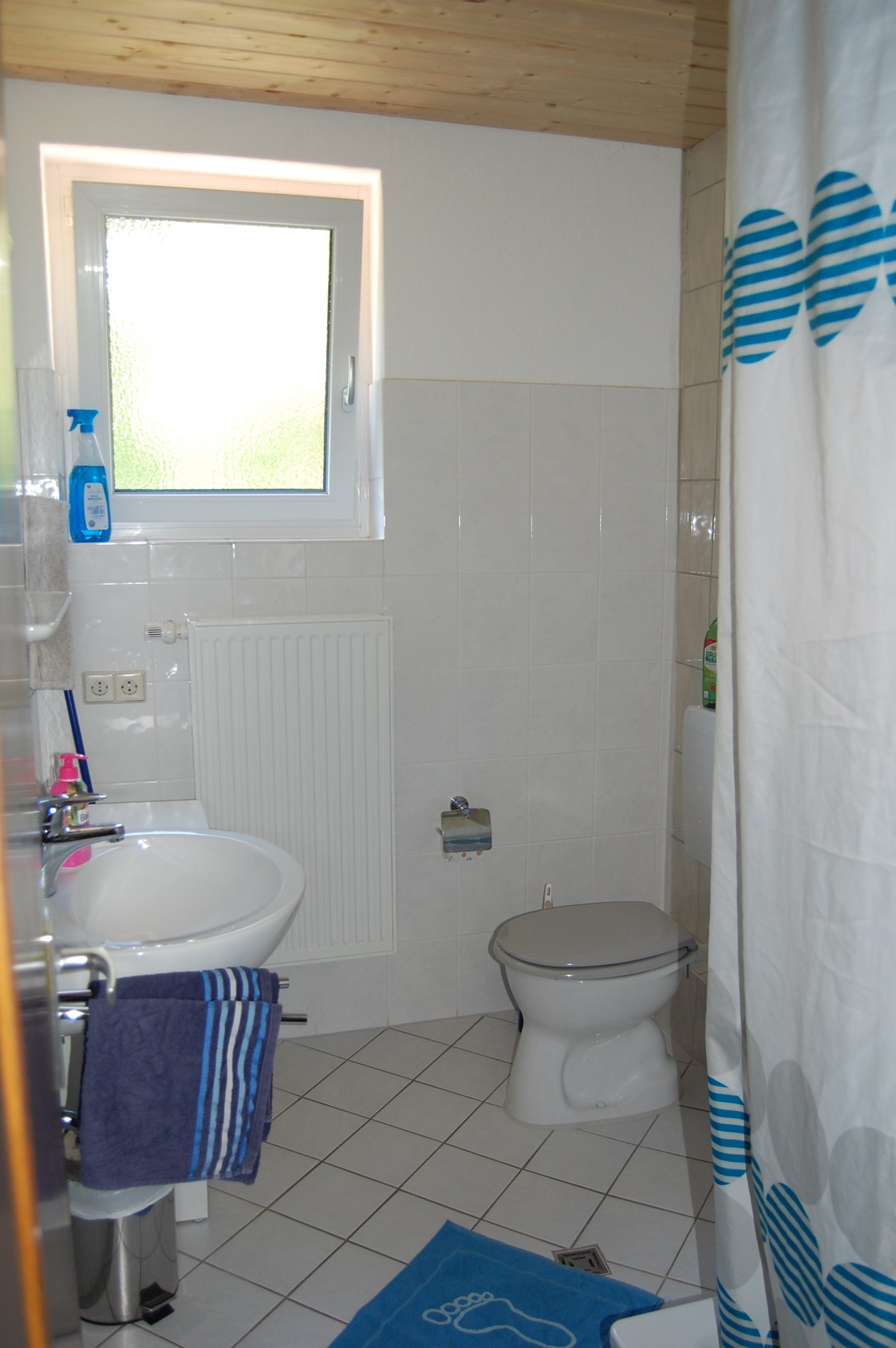 Monteurzimmer: Dusche, Waschv´becken und WC in der Monteurunterkunft im Schwarzwald - Hanspeterhof