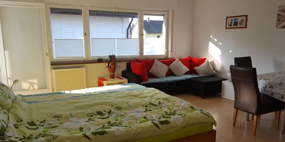 Monteurwohnung - Kehl - Wohn-Schlafzimmer mit Doppelbett 1,8 x 2,0 m, Essbereich, Schlafcouch, Fernseher, Kommode, Schrank, Zugang zum Balkon. Nichtraucherzimmer. - Ferienwohnung Bruckenfeld Rheinau-Linx