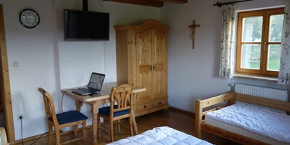 Monteurwohnung - Balkon - Deutschland - Wohnzimmer untere Wohnung mit 2 Aufbettungen - Haus am Hof