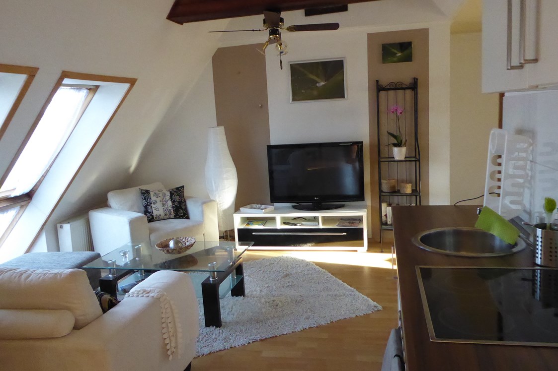 Monteurzimmer: Der Wohnraum mit Sitzecke und Fernseher  - Storchennest Dassow