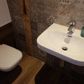 Monteurzimmer: kleines Bad mit WC und Waschbecken - Hammergut Neidberg in Bielatal - 20 Betten