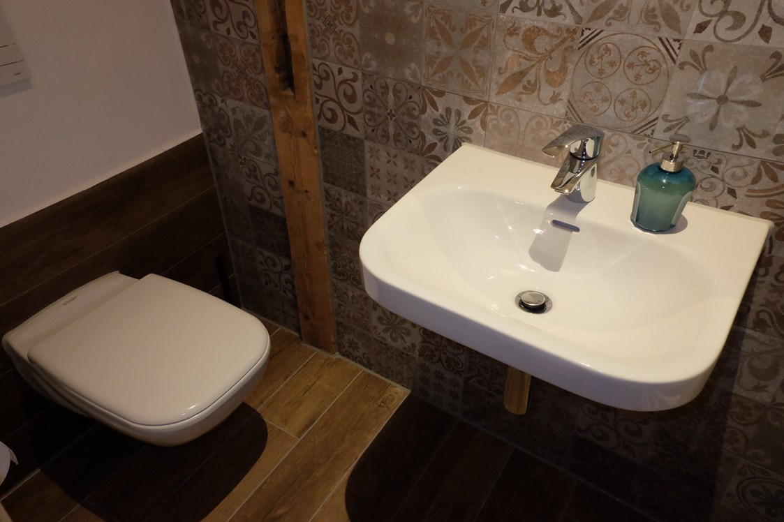 Monteurzimmer: kleines Bad mit WC und Waschbecken - Hammergut Neidberg in Bielatal - 20 Betten