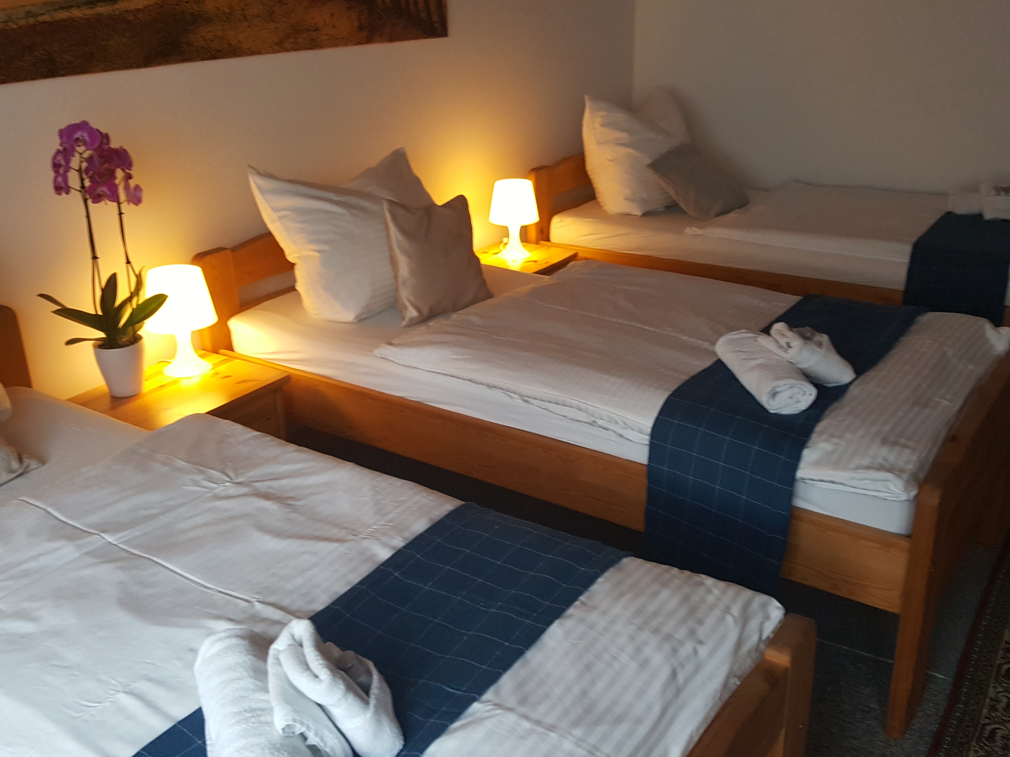 Monteurwohnung - Art der Unterkunft: Pension - Rheinland-Pfalz - 4-5 Bettzimmer - Gästehaus am Schloss Sayn