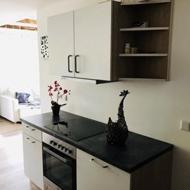 Monteurzimmer: Küchenzeile - Appartement Leitner