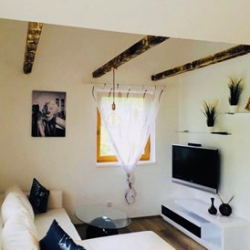 Monteurzimmer: Wohnzimmer mit Couchtisch und SAT.TV - Appartement Leitner