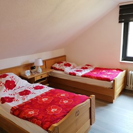 Monteurzimmer: Schlafzimmer - Hahnenklee Bockswiese