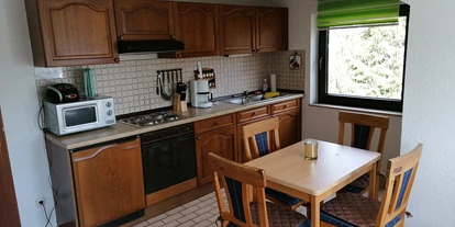 Monteurwohnung - Langelsheim - Wohnküche mit Schlafsofa - Hahnenklee Bockswiese