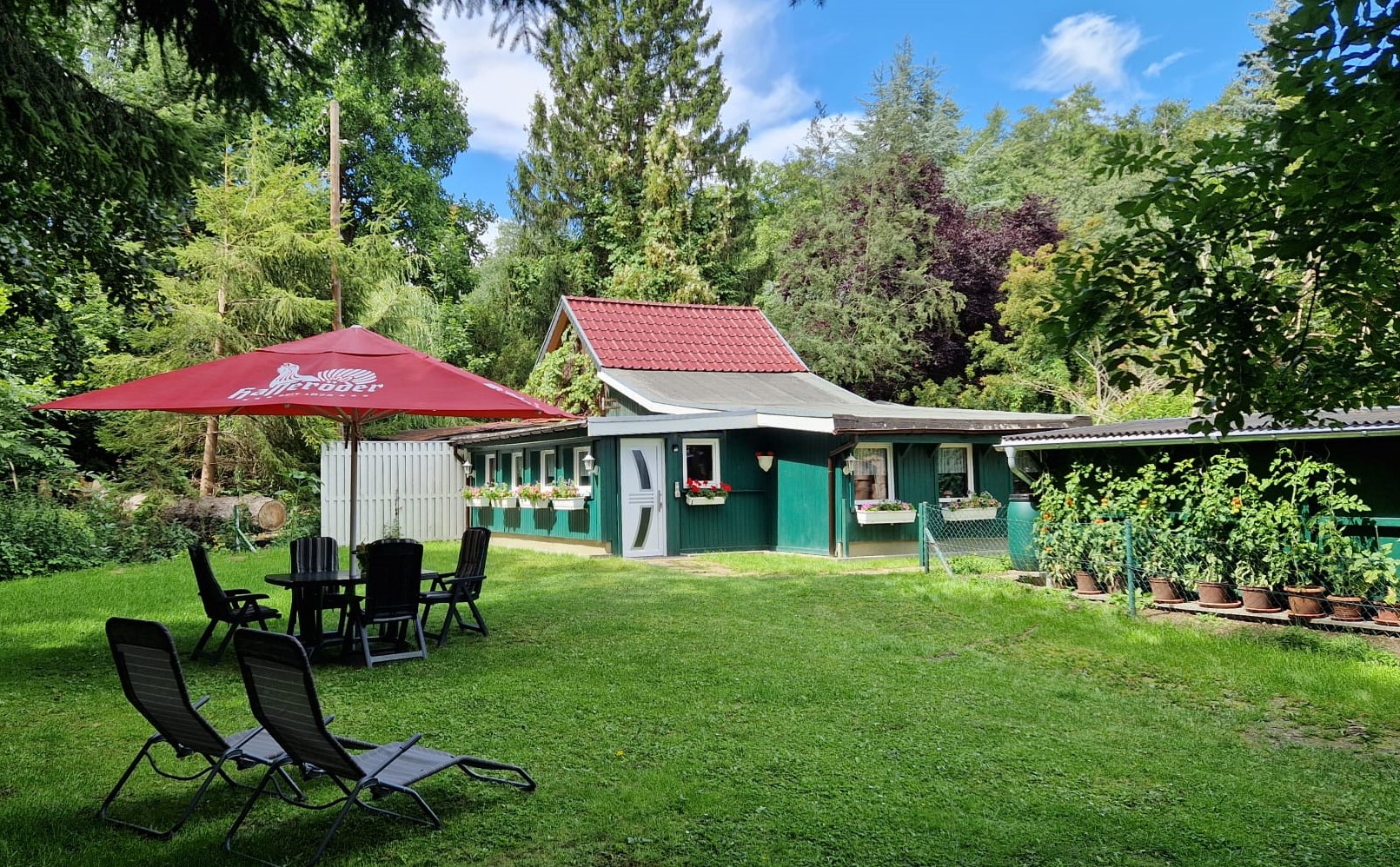 Monteurzimmer: Bungalow Nr. 1  mit 2 SZ bis 5 Pers. - Gästehaus Bruns im Harz