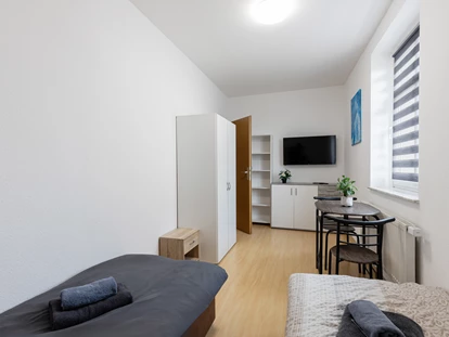 Monteurwohnung - TV - Deutschland - FLEX Aparts - Monteur- und Ferienwohnungen in Zwickau