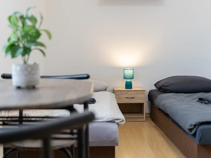 Monteurwohnung - TV - Deutschland - FLEX Aparts - Monteur- und Ferienwohnungen in Zwickau