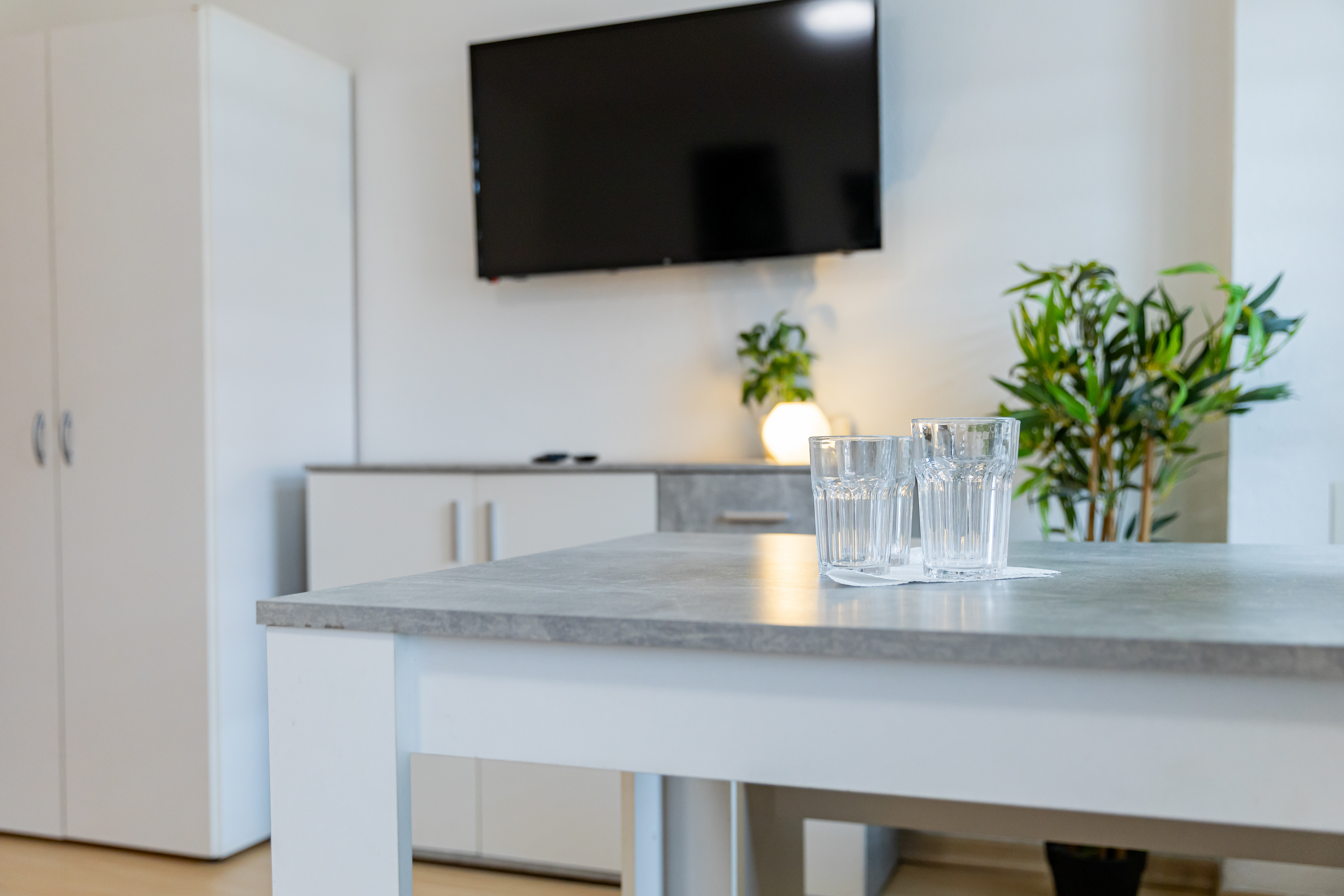 Monteurzimmer: FLEX Aparts - Monteur- und Ferienwohnungen in Zwickau