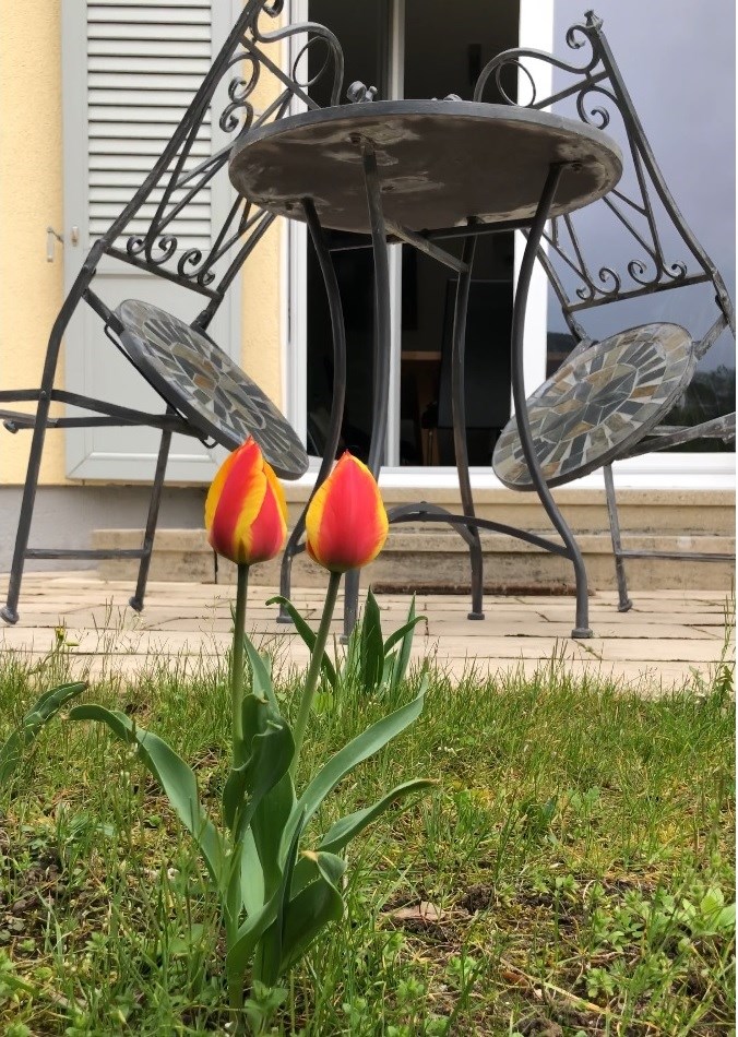 Monteurzimmer: Terrasse - Bad Dürkheim mit Limburgblick