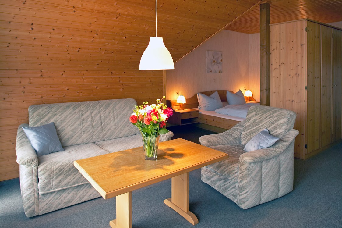 Monteurzimmer: Beispiel Ferienwohnung  - Appartement Main-Kinzig-Kreis