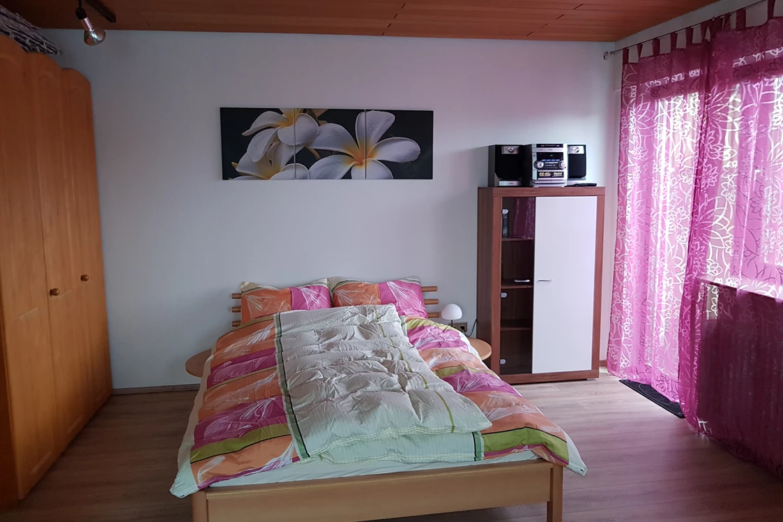 Monteurzimmer: Wohn- und Schlafzimmer, Doppelbett (140*200) und ein ausziehbares Sofa (200*200). Ausgang zur Terrasse. - Monteur- /Ferienwohnung Grabs