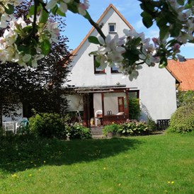 Monteurzimmer: Garten im Frühjahr - Ferienhaus Adendorf