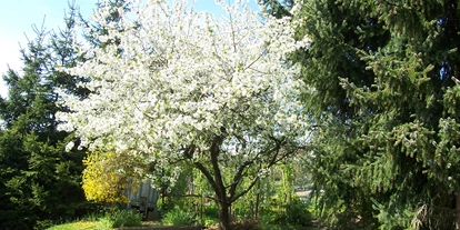 Monteurwohnung - Altrich - Ferienhaus Marlene 2 - 7 Personen