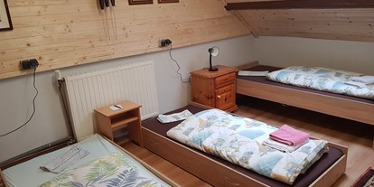 Monteurwohnung - Zimmertyp: Doppelzimmer - Rheinland-Pfalz - Jägers Stübchen Heidenburg * REGION TRIER & WITTLICH * HUNSRÜCK/MOSEL