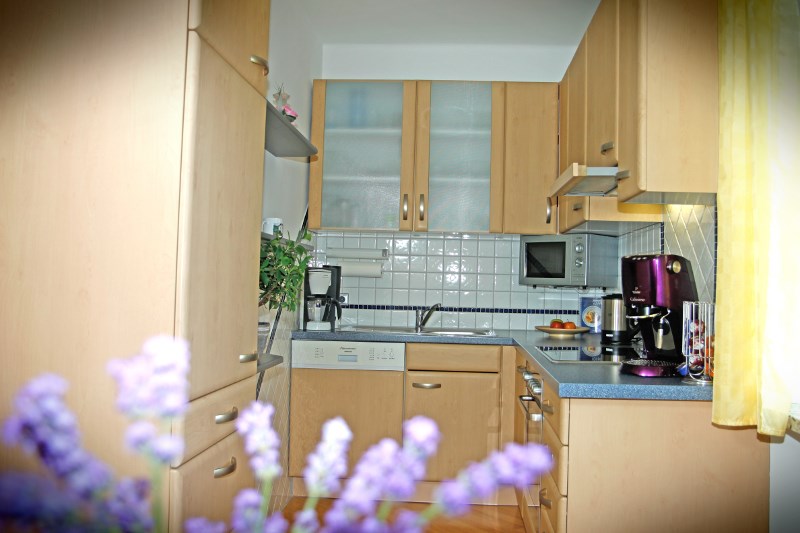 Monteurzimmer: Sehr gut ausgestattete Küche - Haus steinfeld
