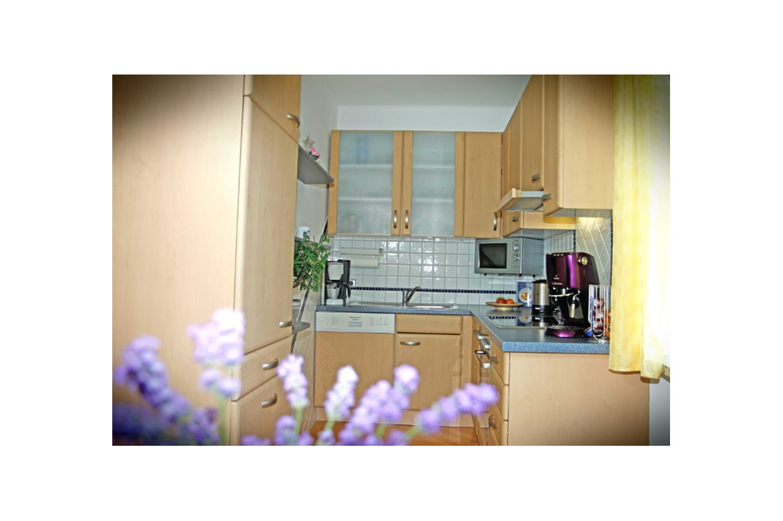 Monteurzimmer: Sehr gut ausgestattete Küche - Haus steinfeld