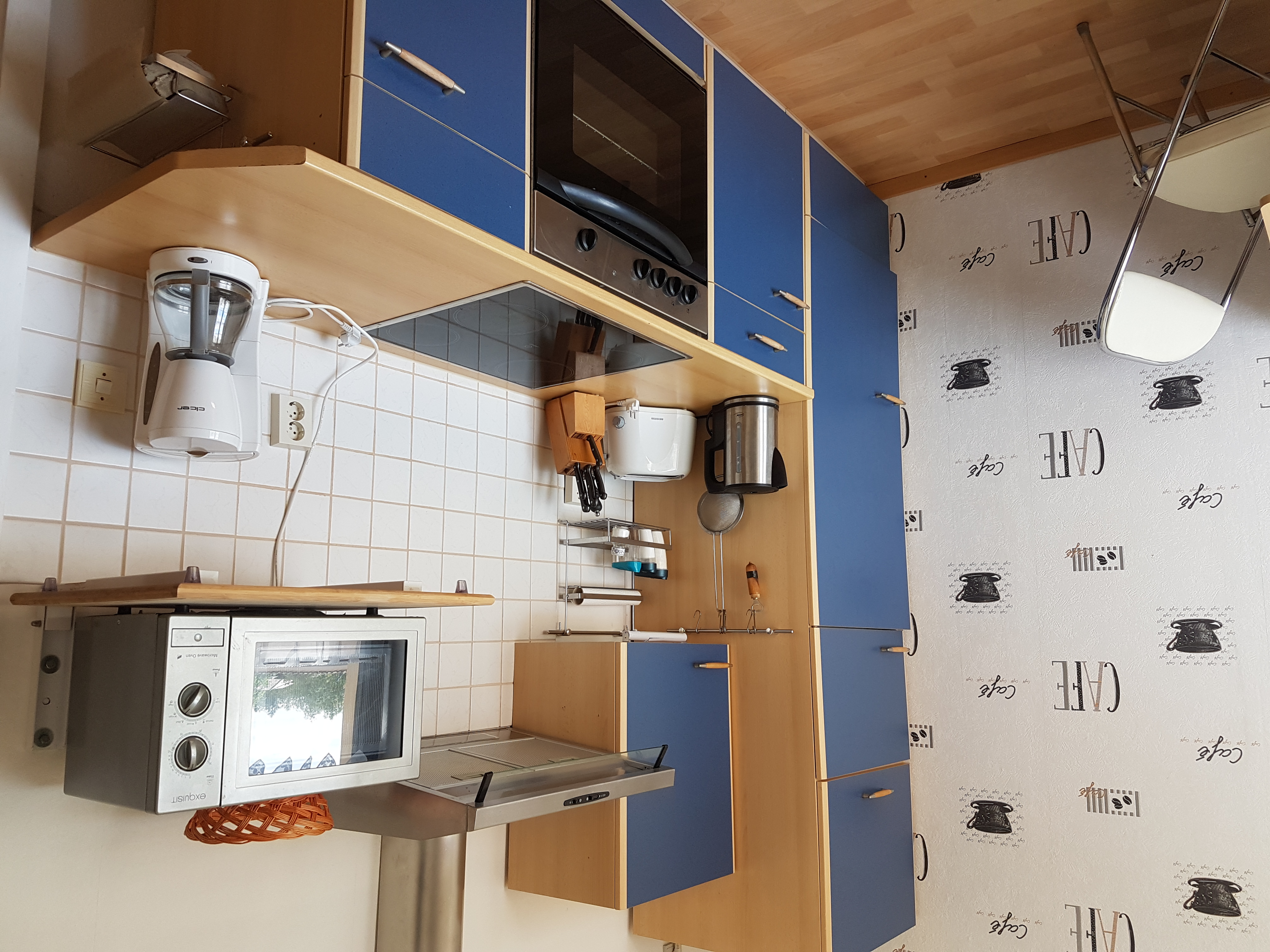 Monteurwohnung - Kühlschrank - Sachsen-Anhalt - Küche - Monteurzimmer/ Wohnung, Ferienwohnung in Jaucha 