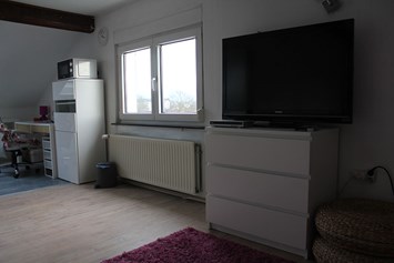 Monteurzimmer: Wohnraum - Appartement am Elzdamm nahe Freiburg/Europapark