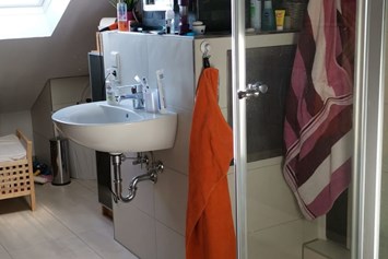 Monteurzimmer: Badezimmer - Appartement am Elzdamm nahe Freiburg/Europapark