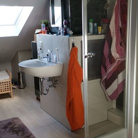 Monteurzimmer: Badezimmer - Appartement am Elzdamm nahe Freiburg/Europapark