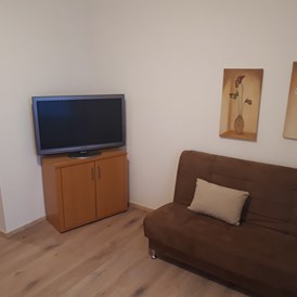 Monteurzimmer: Wohnbereich mit Couch und TV - Schloß Holte Bahnhof