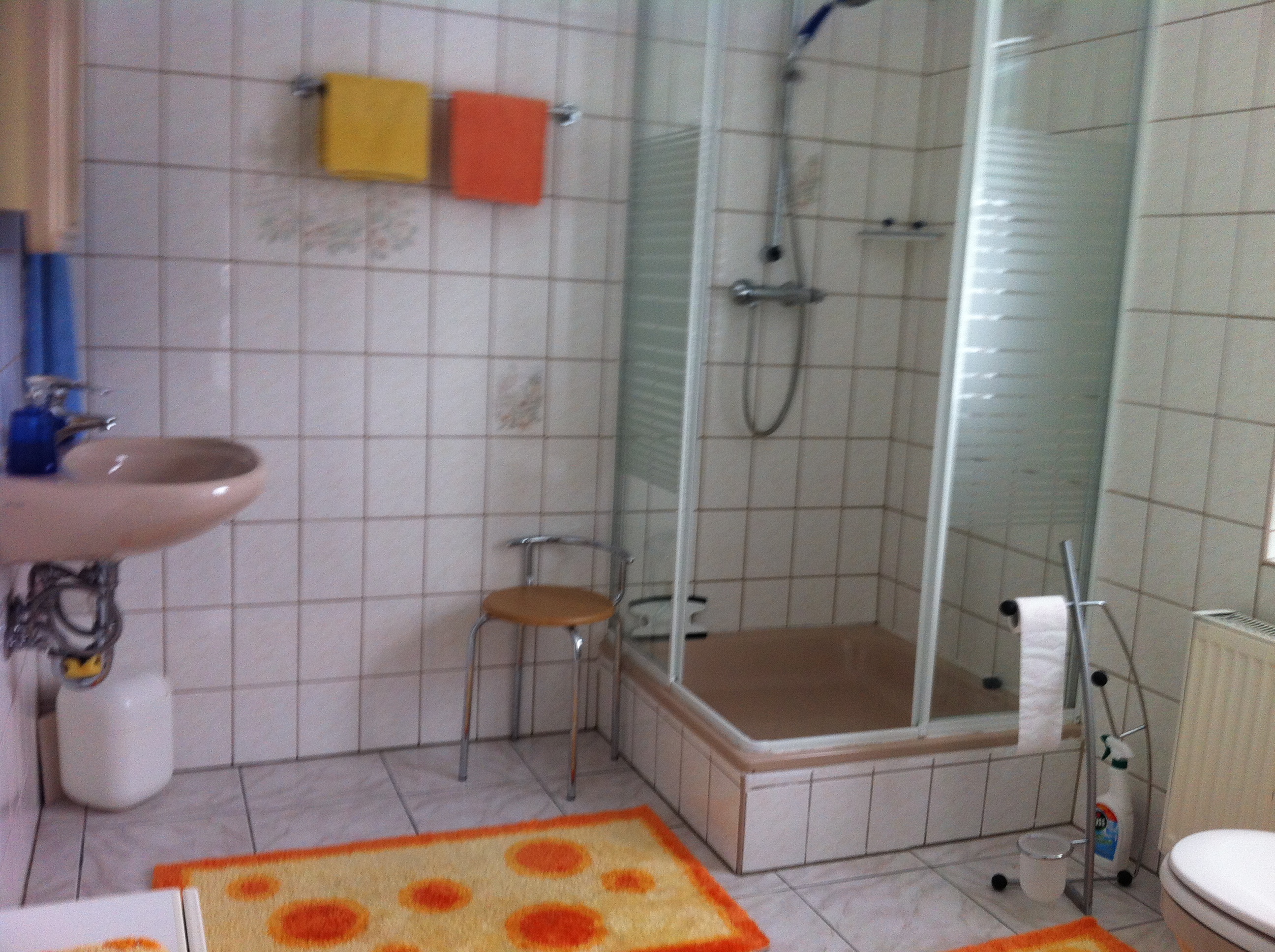 Monteurwohnung - PLZ 96365 (Deutschland) - Nettes zweckmäßiges Bad mit Dusche. - Schönes Privat Zimmer