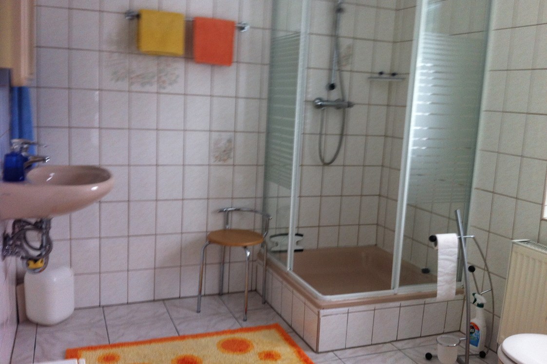 Monteurzimmer: Nettes zweckmäßiges Bad mit Dusche. - Schönes Privat Zimmer